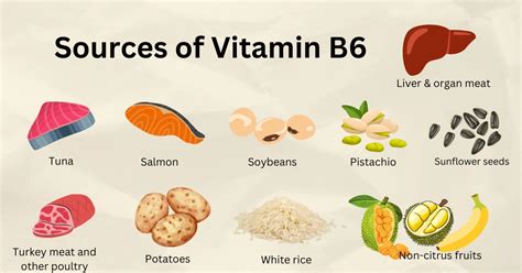 Vitamin B6 Sources Benefits