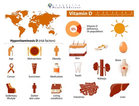 Vitamin D Important Why