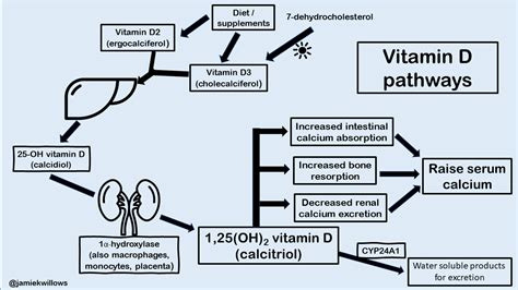 Vitamin D With Hypercalcemia