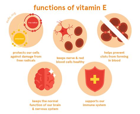 Vitamin E Primary Function