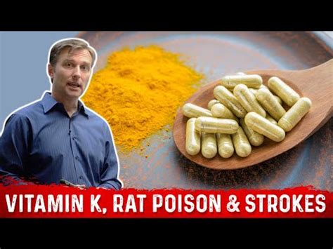 vitamin k for dogs rat poison