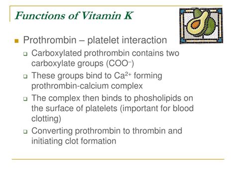 Vitamin K Function Byjus