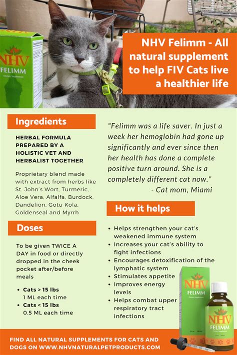 vitamins for cats with feline leukemia
