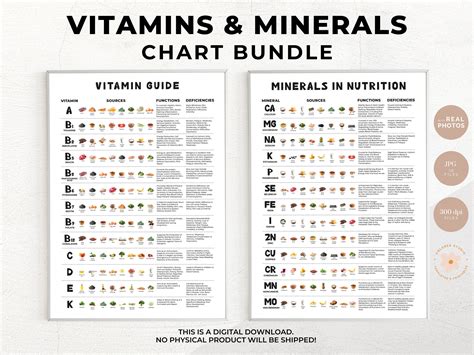 Vitamins Minerals Nutrients