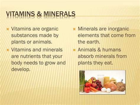 Vitamins Minerals Ppt