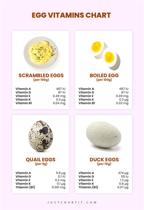 Vitamins To Help Egg Quality