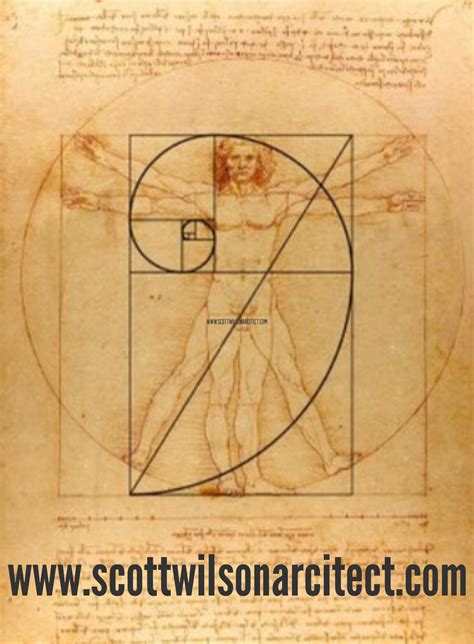 vitruvian meaning of the golden ratio