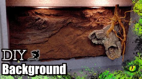 Vivarium Enclosure Background