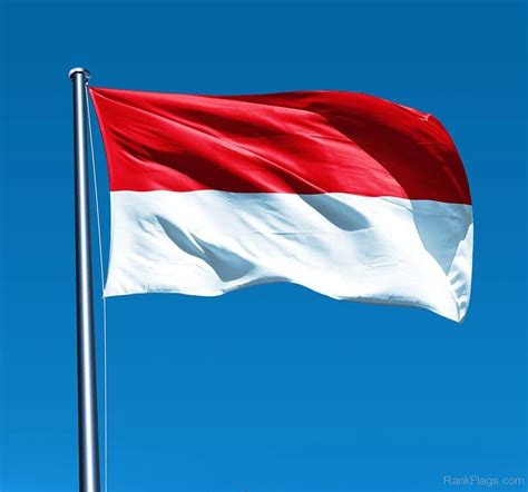 vlag indonesie afbeelding