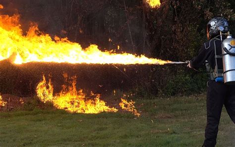 'Alsof er een vlammenwerper door de boomgaard is gegaan' Omroep Zeeland
