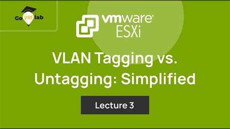 Vmware Tagging Examples