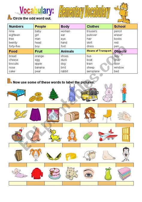 vocabulary for elementary