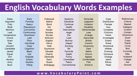 vocabulary with examples