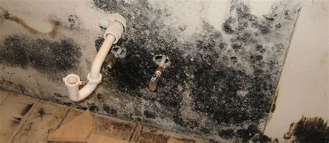 Vochtprobleem Badkamer