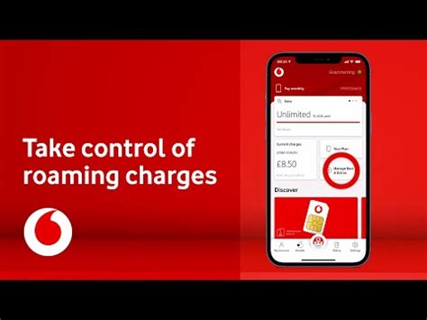 vodafone us roaming charges