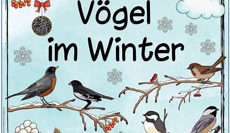 Arbeitsheft: Der Vogel (Klasse 1) – Unterrichtsmaterial in den Fächern