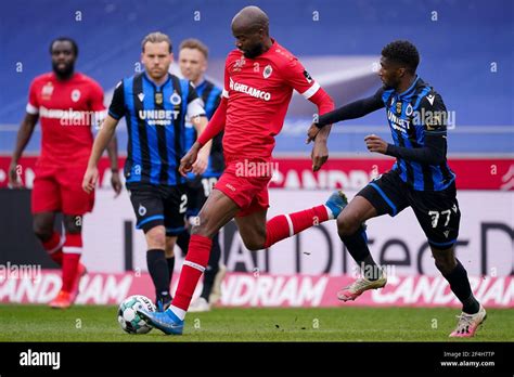 voetbal antwerp brugge