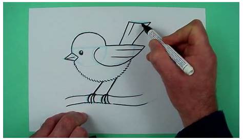 Vogel zeichnen lernen EINFACH schritt für schritt für anfänger & kinder