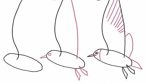 zeichnen ideen einfach anleitung | Vögel zeichnen, Kritzel-zeichnungen