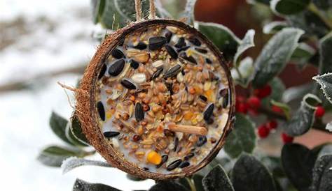 DIY Vogelfutter schnell und einfach selber machen - mit Kokosfett