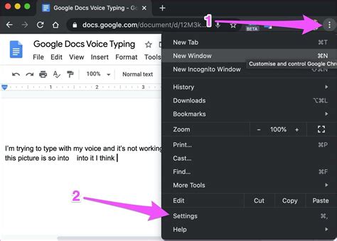 Voice Typing Not Showing Up In Google Docs