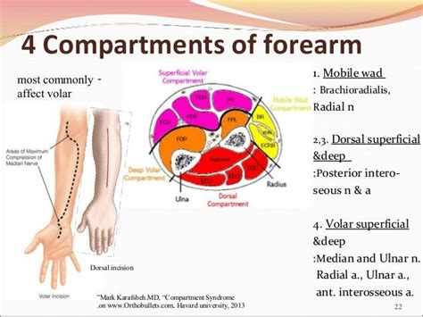 Volar Forearm Compartment Release