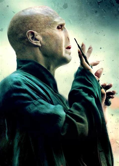 voldemort half blood