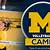 volleyball camps in michigan