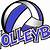 volleyball logo clipart