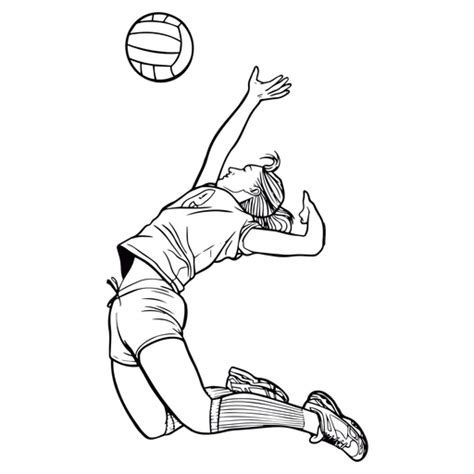 Download High Quality volleyball clipart player Transparent PNG Images
