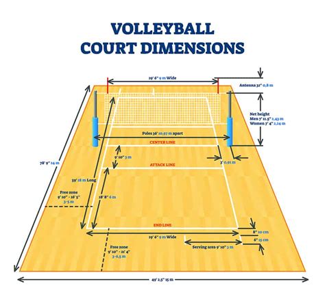 Volleyball Court Width