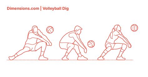 Volleyball Dig Drawing