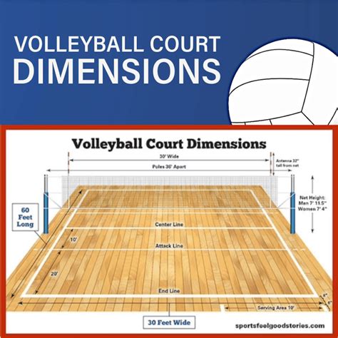 Volleyball Group Size