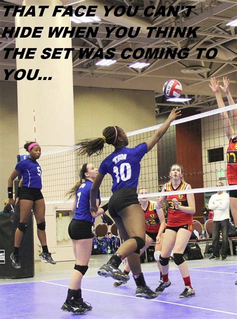 Volleyball Memes