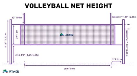 Volleyball Net Height Elementary