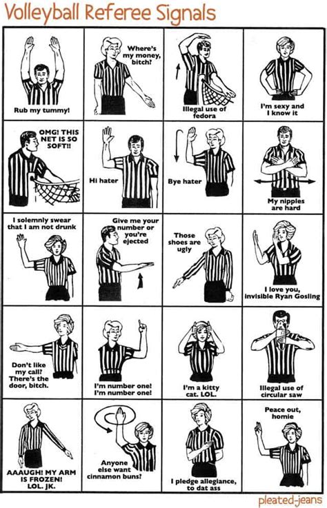 Volleyball Rules Referee Signals