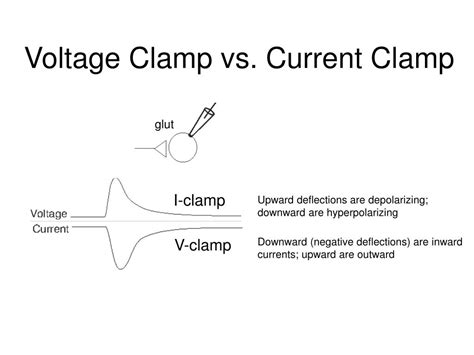 voltage clamp vs current clamp