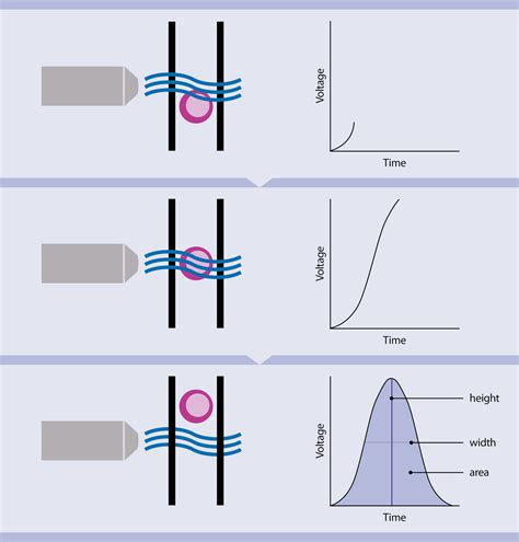 Voltage In Flow Cytometry