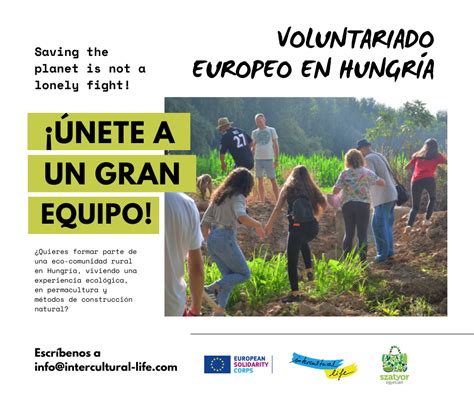 voluntariado europeo 2022