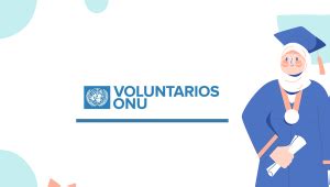 voluntariado online da onu