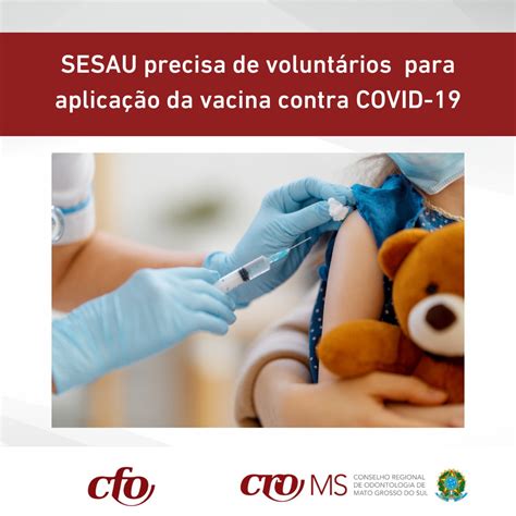 voluntario sesau