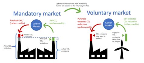 voluntary carbon market vs compliance