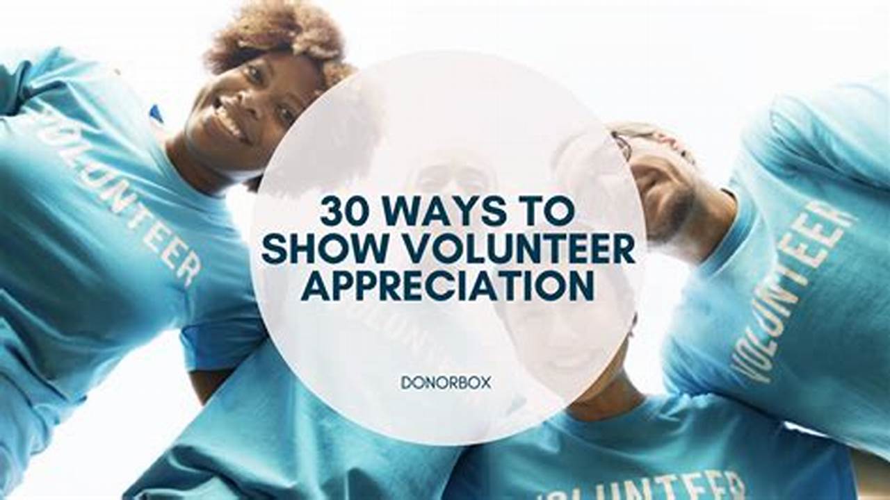 Volunteer Appreciation Day: Celebrating Unsung Heroes in Our Communities