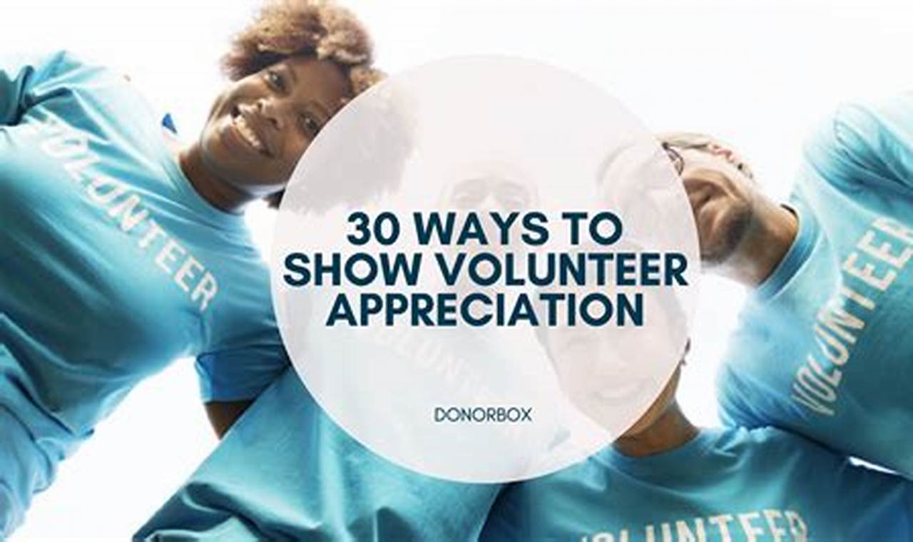 Volunteer Appreciation Day: Celebrating Unsung Heroes in Our Communities