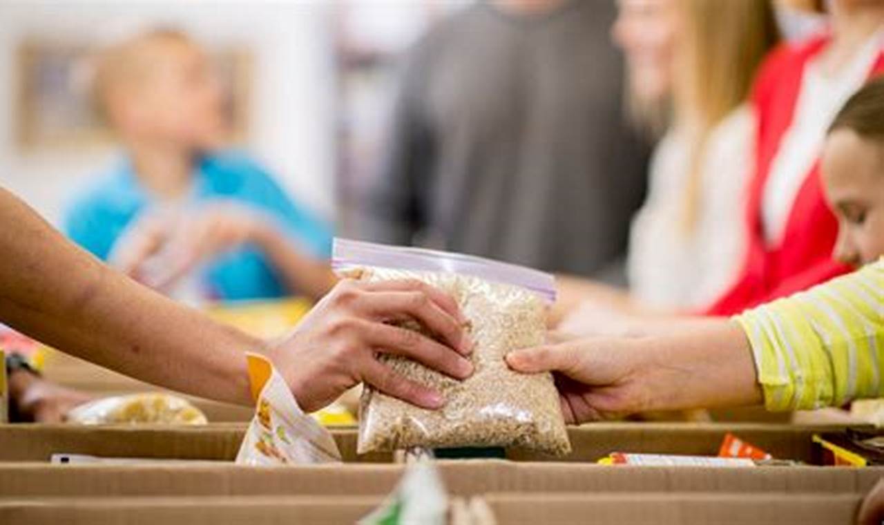 Volunteer at a Food Pantry: Making a Difference in Your Community
