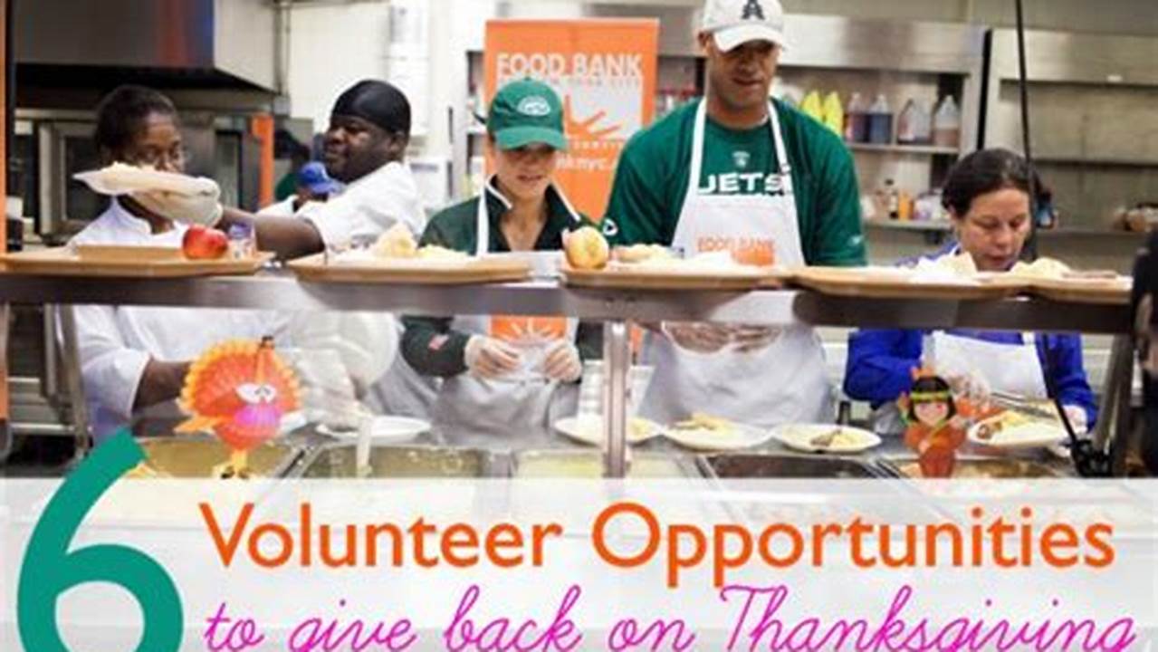 Volunteer in Thanksgiving: Opportunities for Making a Difference