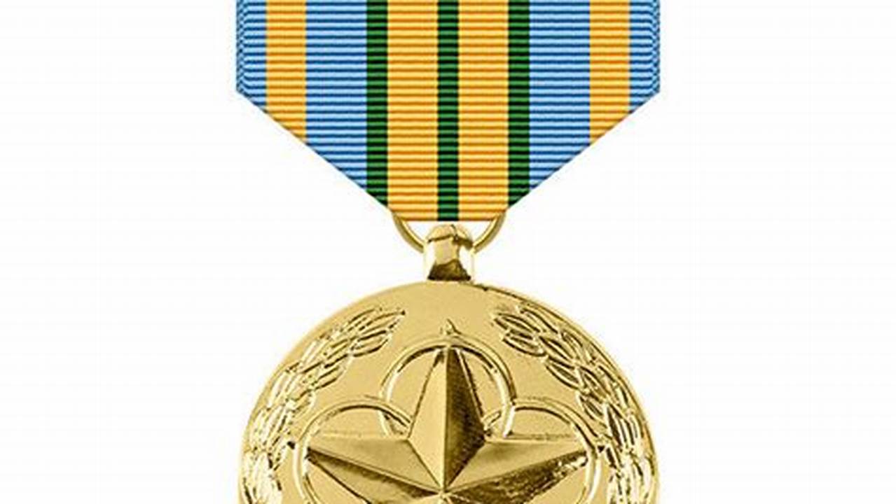 Volunteer Medal Usmc