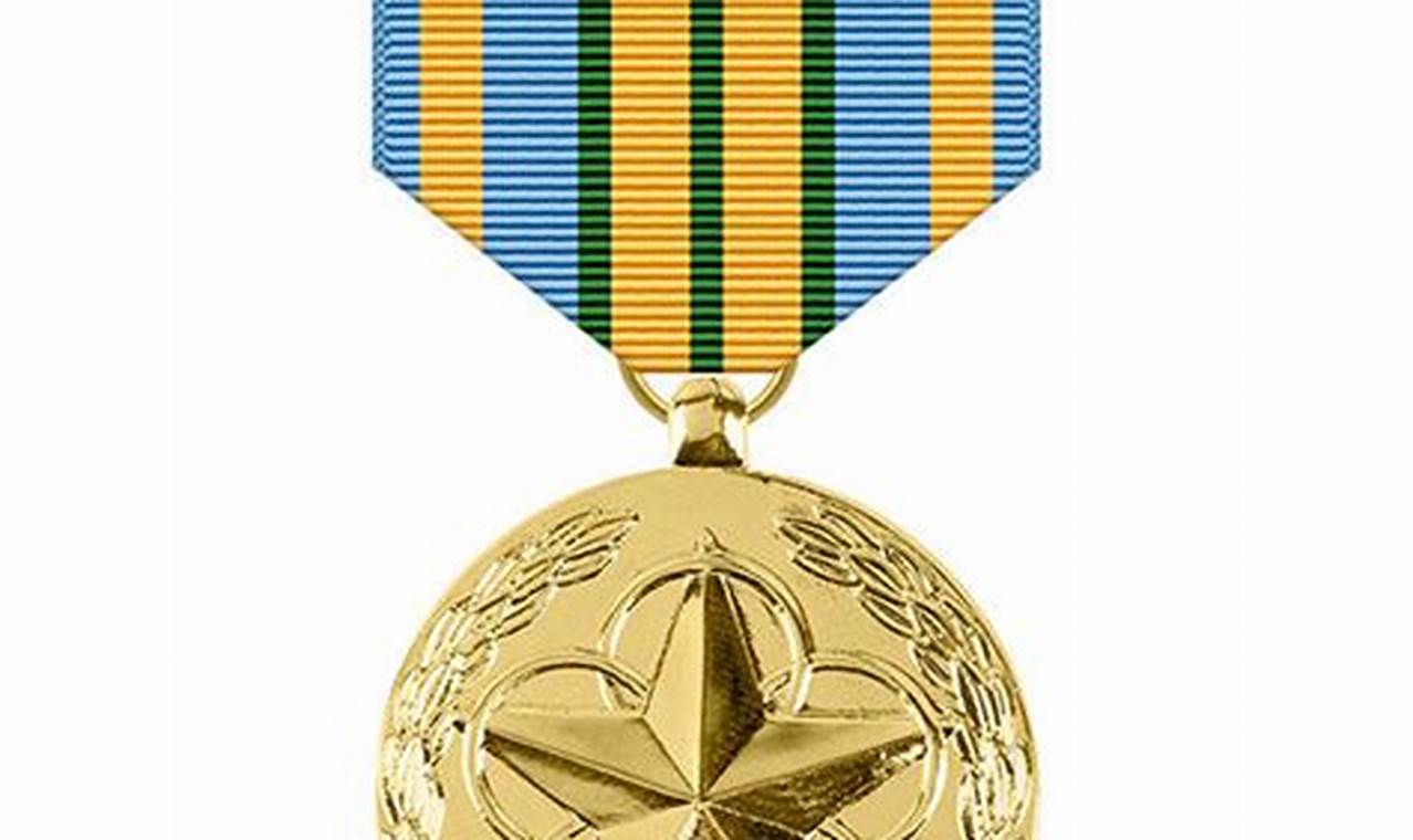 Volunteer Medal Usmc