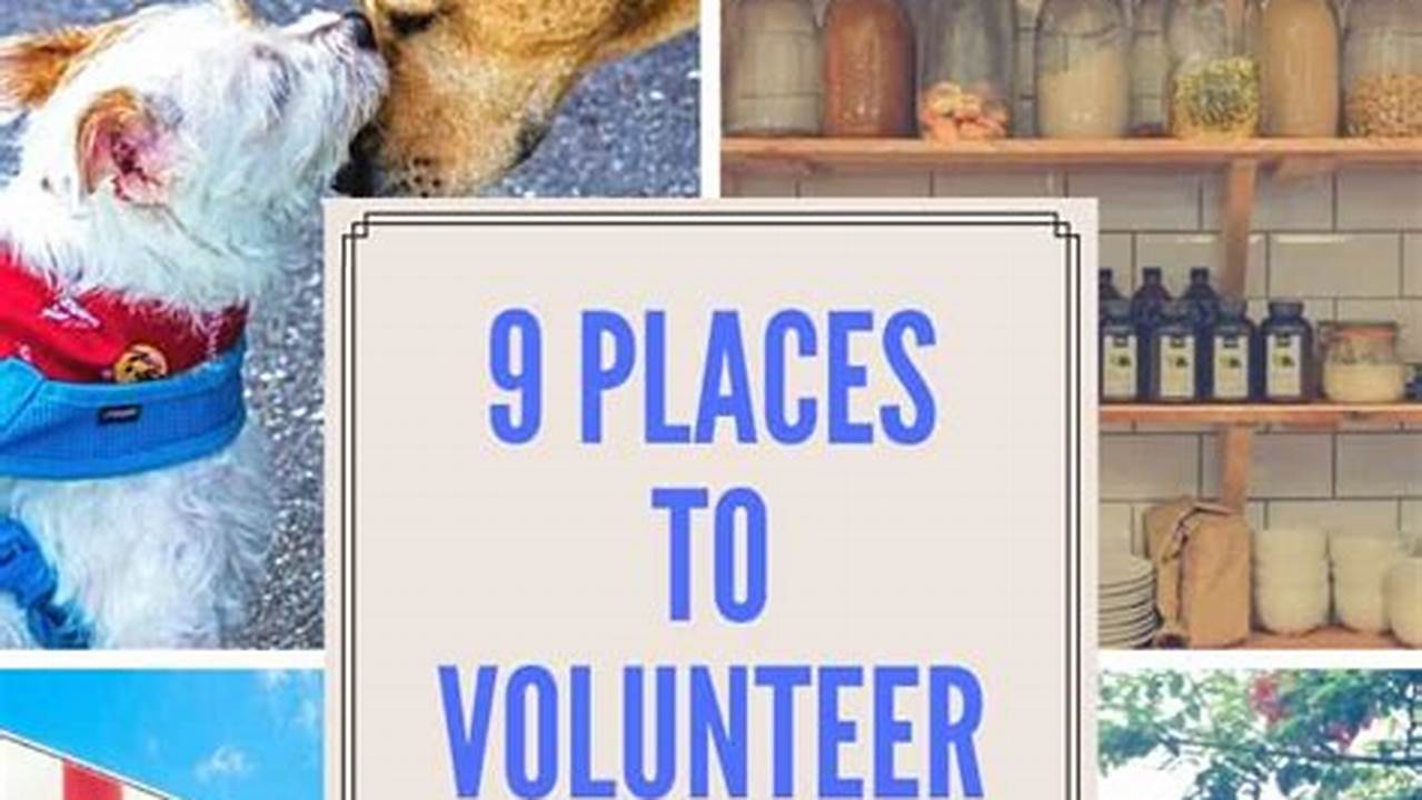 Volunteer Opportunities Near Me: Your Guide to Getting Involved and Making a Difference