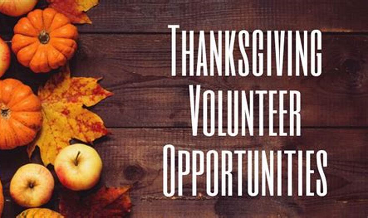 Volunteer Opportunities for Thanksgiving 2022 in Your Community